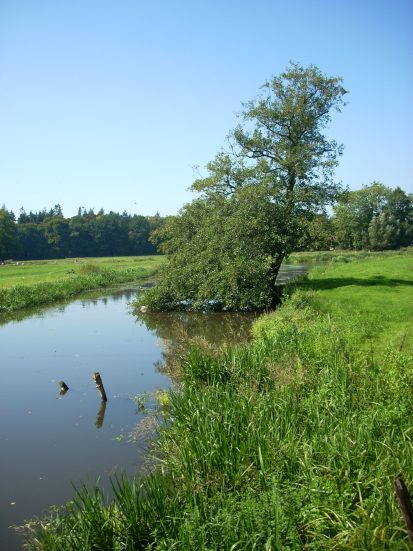 Foto's nikon oktober 2008 129