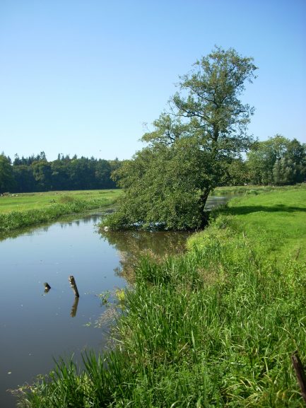 Foto's nikon oktober 2008 129