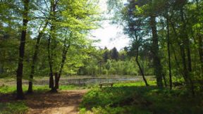 klein_ven_mensingebos