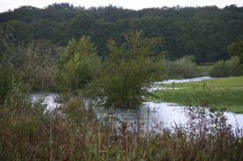 Lieverse Diep (Kolkmaten) met op de achtergrond het Sterrebos.